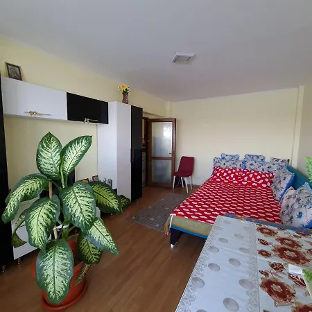 Inchiriere Apartament Sulina Apartment Sulina